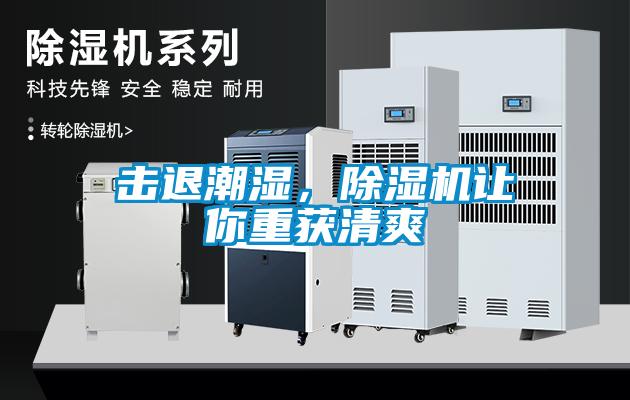 擊退潮濕，除濕機讓你重獲清爽