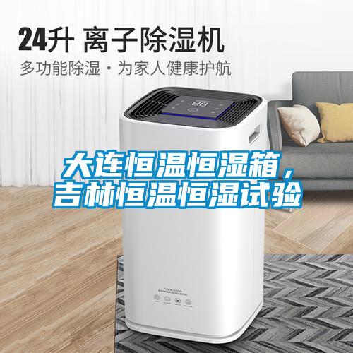 大連恒溫恒濕箱，吉林恒溫恒濕試驗(yàn)