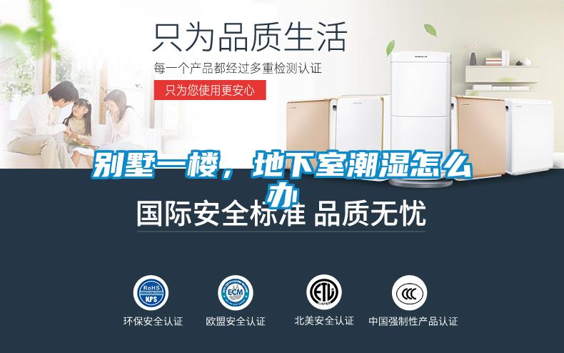 別墅一樓，地下室潮濕怎么辦