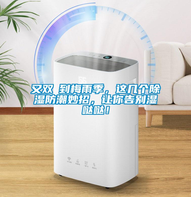 又雙叒到梅雨季，這幾個(gè)除濕防潮妙招，讓你告別濕噠噠！
