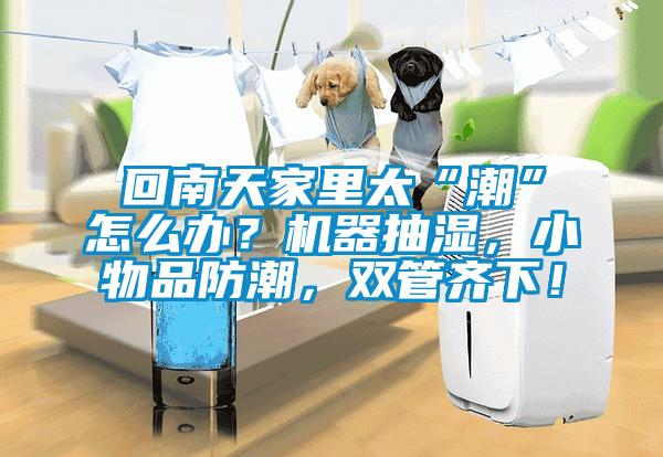 回南天家里太“潮”怎么辦？機(jī)器抽濕，小物品防潮，雙管齊下！