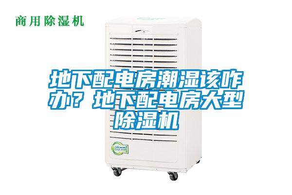 地下配電房潮濕該咋辦？地下配電房大型除濕機(jī)