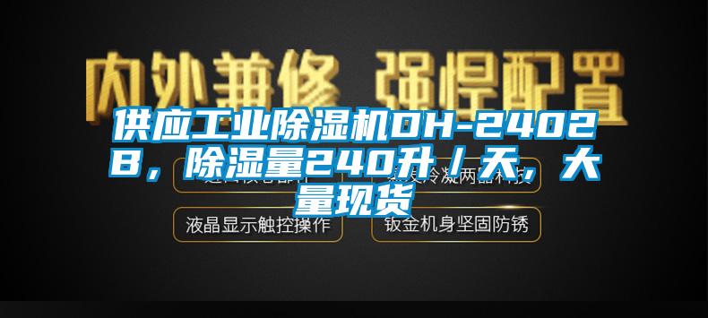 供應(yīng)工業(yè)除濕機(jī)DH-2402B，除濕量240升／天，大量現(xiàn)貨