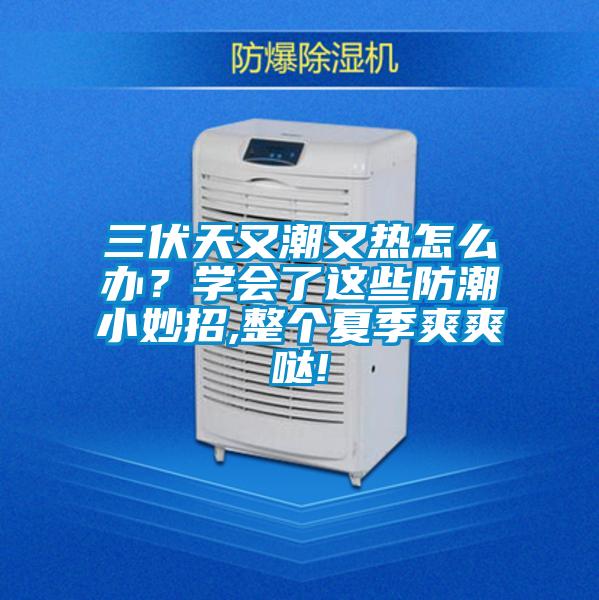 三伏天又潮又熱怎么辦？學(xué)會了這些防潮小妙招,整個夏季爽爽噠!