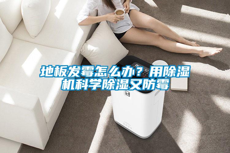 地板發(fā)霉怎么辦？用除濕機科學除濕又防霉