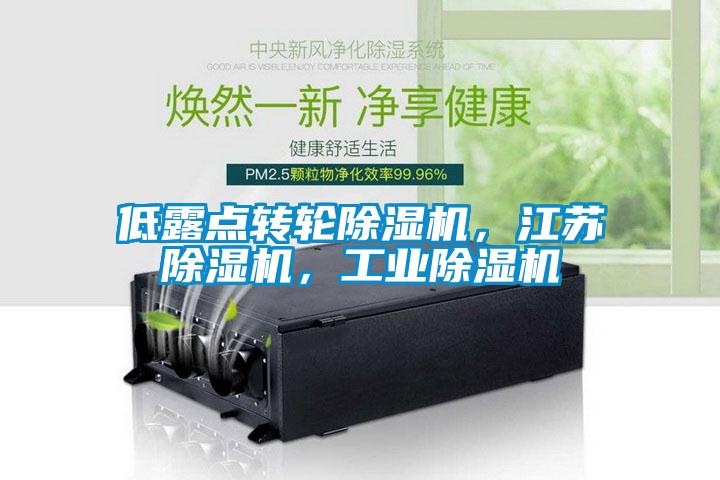 低露點轉(zhuǎn)輪除濕機，江蘇除濕機，工業(yè)除濕機