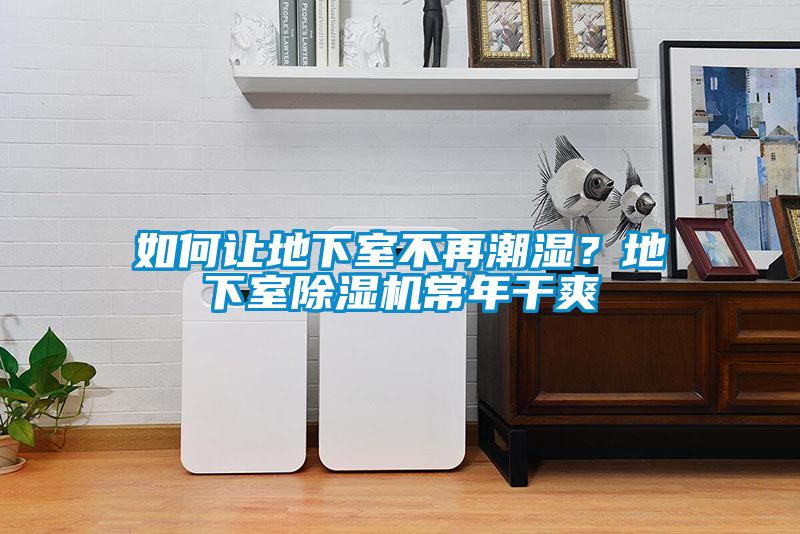 如何讓地下室不再潮濕？地下室除濕機(jī)常年干爽