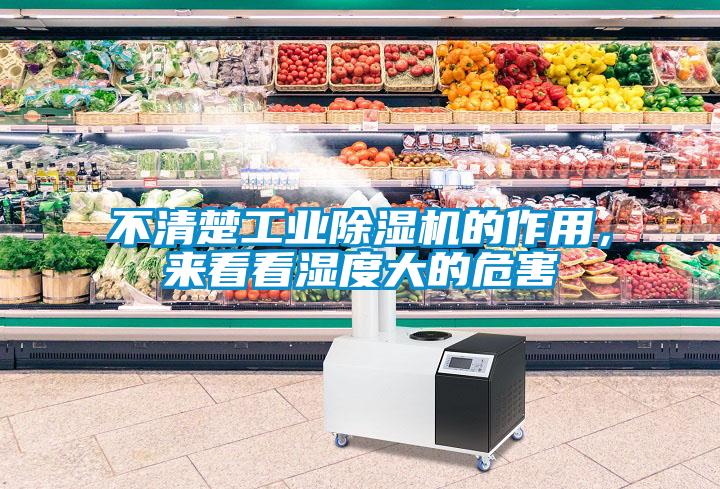 不清楚工業(yè)除濕機的作用，來看看濕度大的危害
