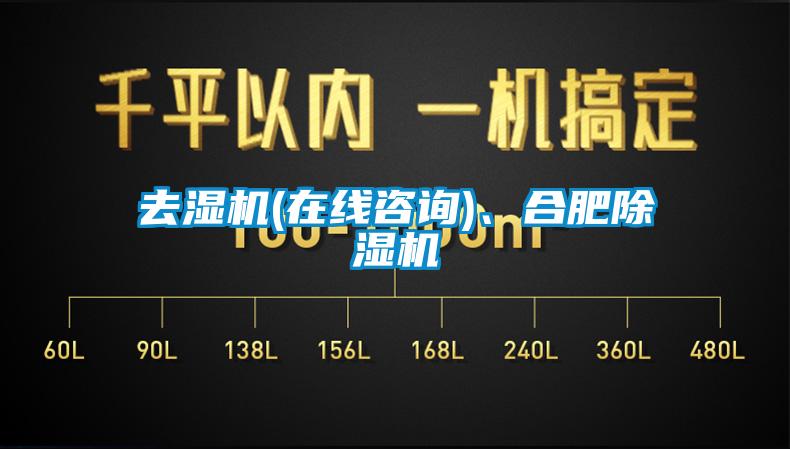 去濕機(在線咨詢)、合肥除濕機