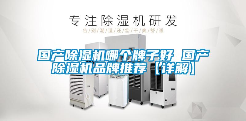 國產(chǎn)除濕機(jī)哪個牌子好 國產(chǎn)除濕機(jī)品牌推薦【詳解】