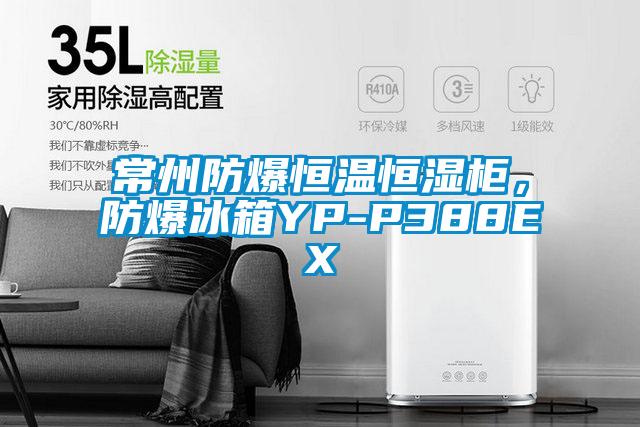 常州防爆恒溫恒濕柜，防爆冰箱YP-P388EX