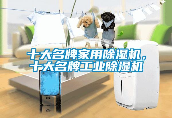 十大名牌家用除濕機(jī)，十大名牌工業(yè)除濕機(jī)