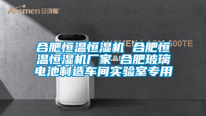 合肥恒溫恒濕機(jī) 合肥恒溫恒濕機(jī)廠家 合肥玻璃電池制造車(chē)間實(shí)驗(yàn)室專(zhuān)用