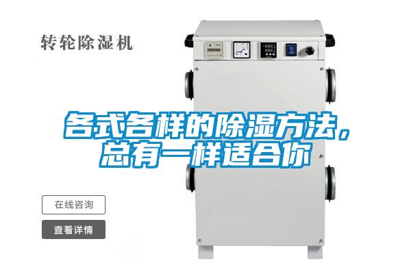 各式各樣的除濕方法，總有一樣適合你