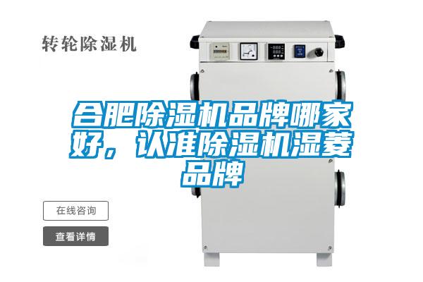 合肥除濕機品牌哪家好，認準除濕機濕菱品牌