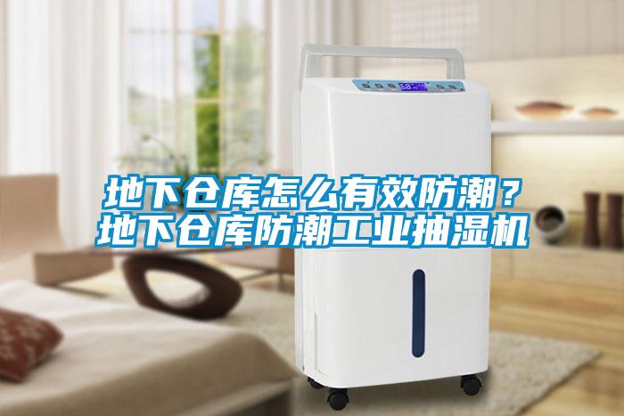 地下倉庫怎么有效防潮？地下倉庫防潮工業(yè)抽濕機