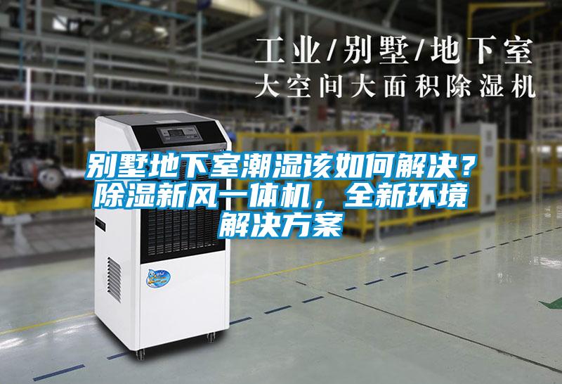 別墅地下室潮濕該如何解決？除濕新風(fēng)一體機(jī)，全新環(huán)境解決方案