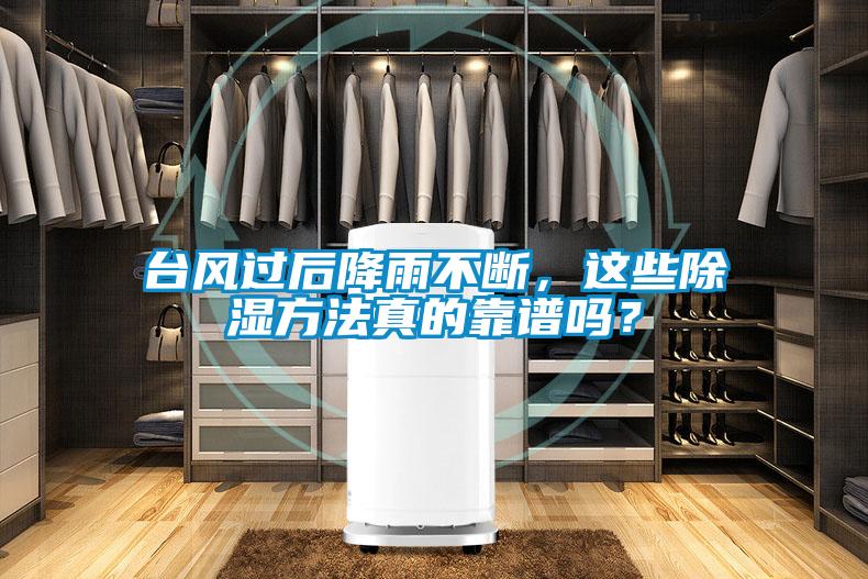 臺(tái)風(fēng)過(guò)后降雨不斷，這些除濕方法真的靠譜嗎？