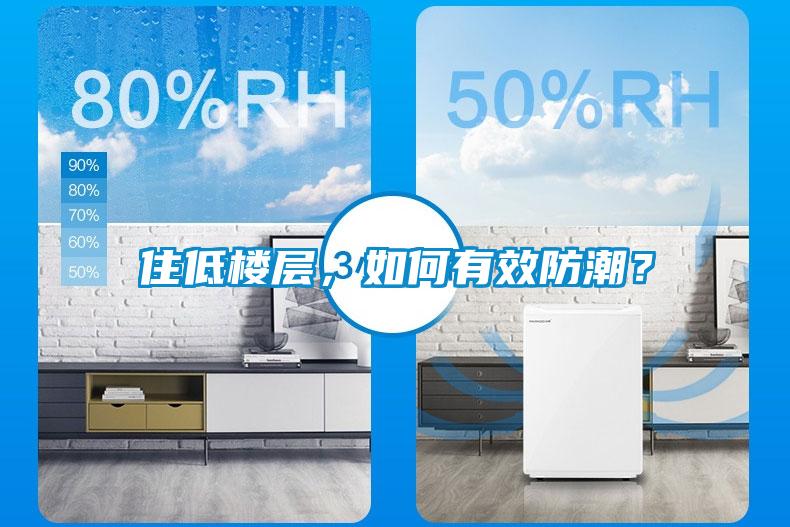住低樓層，如何有效防潮？