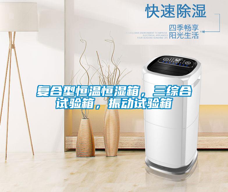 復(fù)合型恒溫恒濕箱，三綜合試驗箱，振動試驗箱