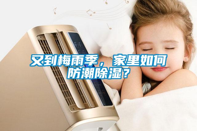 又到梅雨季，家里如何防潮除濕？