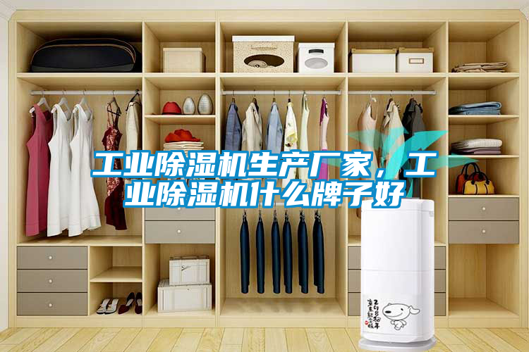 工業(yè)除濕機(jī)生產(chǎn)廠家，工業(yè)除濕機(jī)什么牌子好