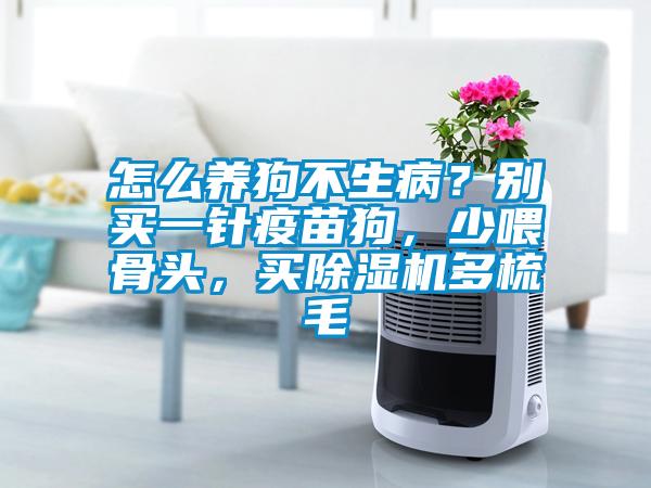 怎么養(yǎng)狗不生病？別買一針疫苗狗，少喂骨頭，買除濕機多梳毛