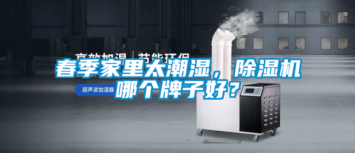 春季家里太潮濕，除濕機(jī)哪個(gè)牌子好？