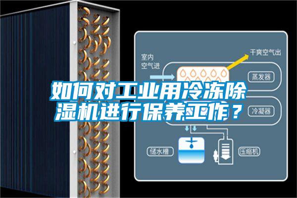 如何對(duì)工業(yè)用冷凍除濕機(jī)進(jìn)行保養(yǎng)工作？
