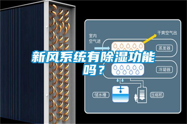新風(fēng)系統(tǒng)有除濕功能嗎？