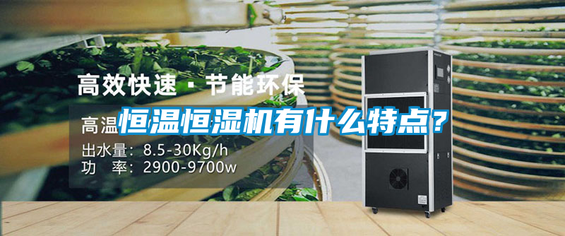 恒溫恒濕機(jī)有什么特點？