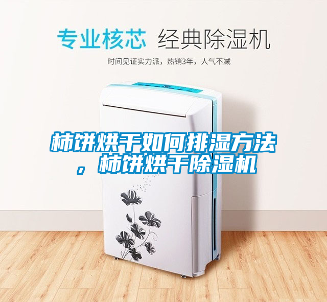 柿餅烘干如何排濕方法，柿餅烘干除濕機(jī)