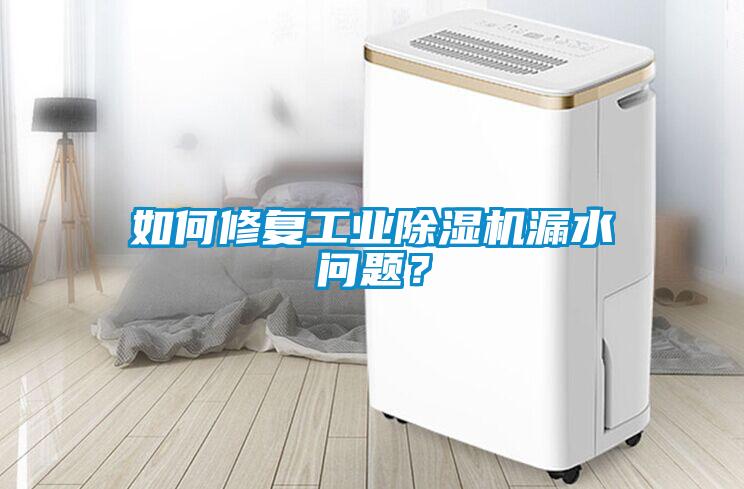 如何修復(fù)工業(yè)除濕機(jī)漏水問(wèn)題？