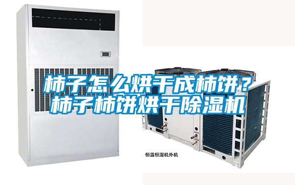 柿子怎么烘干成柿餅？柿子柿餅烘干除濕機