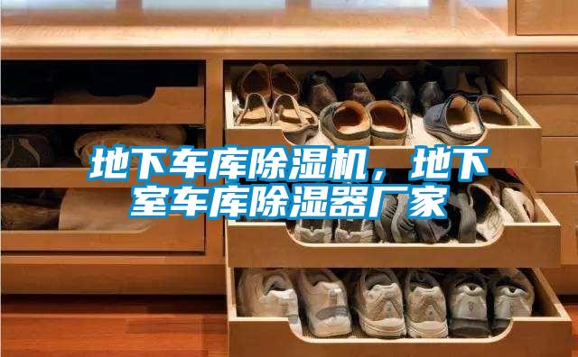 地下車庫除濕機，地下室車庫除濕器廠家