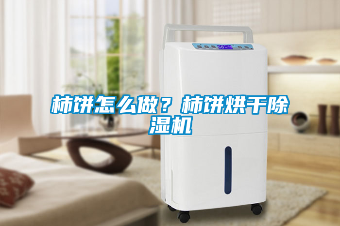 柿餅怎么做？柿餅烘干除濕機(jī)
