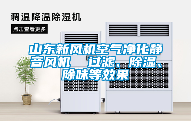 山東新風(fēng)機(jī)空氣凈化靜音風(fēng)機(jī)  過濾、除濕、除味等效果