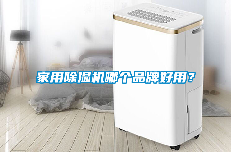 家用除濕機(jī)哪個(gè)品牌好用？