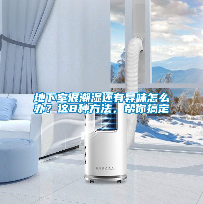 地下室很潮濕還有異味怎么辦？這8種方法，幫你搞定