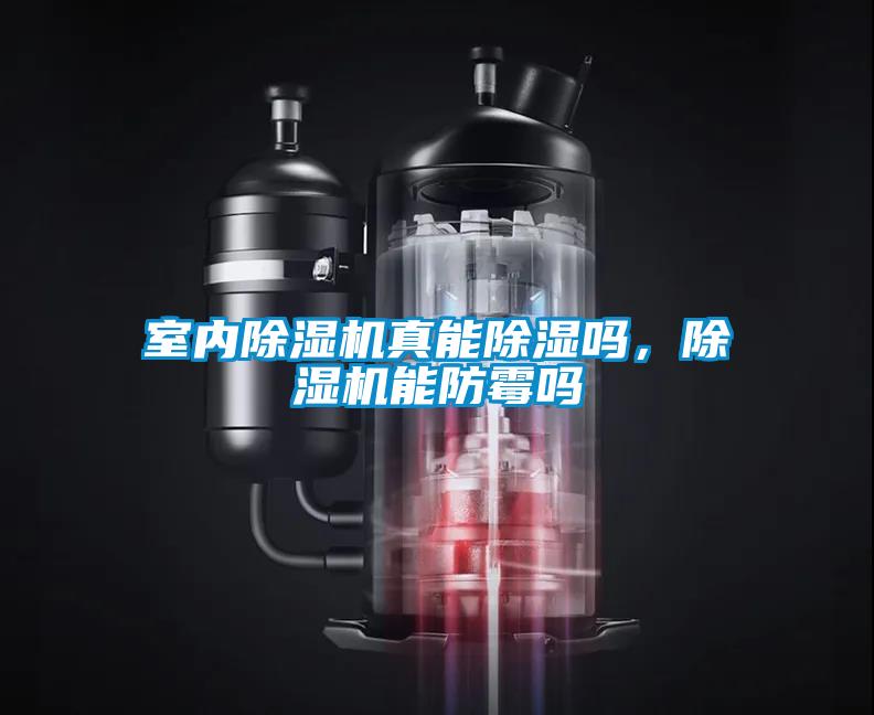 室內(nèi)除濕機真能除濕嗎，除濕機能防霉嗎