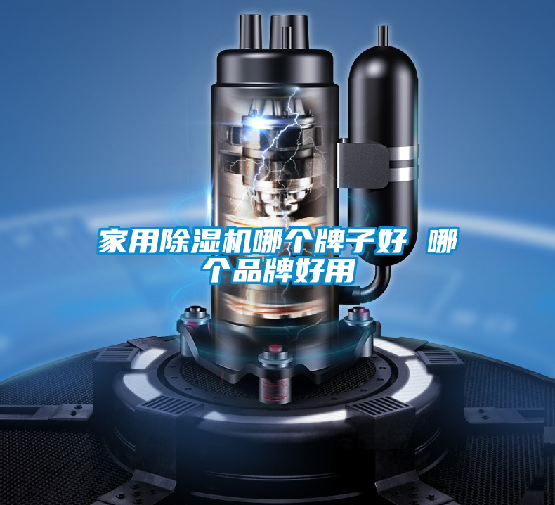 家用除濕機(jī)哪個牌子好 哪個品牌好用