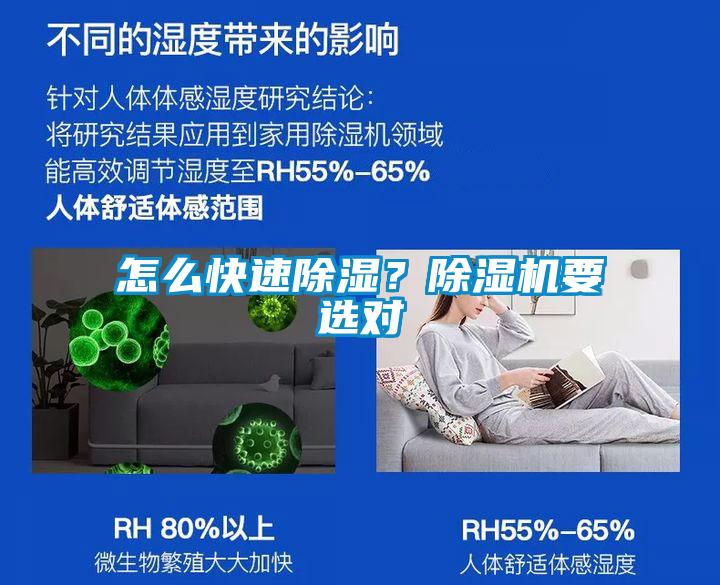 怎么快速除濕？除濕機要選對