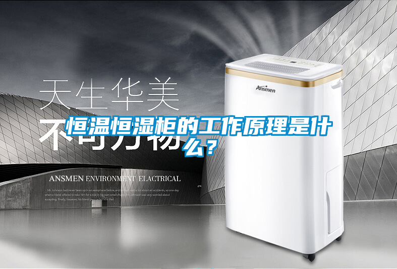 恒溫恒濕柜的工作原理是什么？