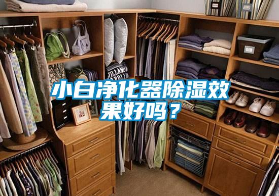 小白凈化器除濕效果好嗎？