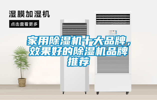 家用除濕機十大品牌，效果好的除濕機品牌推薦
