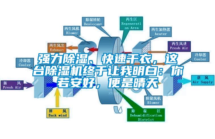 強(qiáng)力除濕、快速干衣，這臺(tái)除濕機(jī)終于讓我明白：你若安好，便是晴天