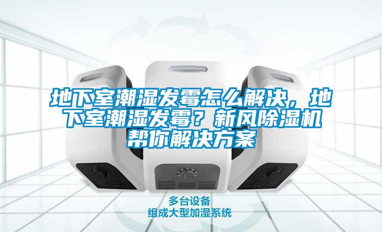 地下室潮濕發(fā)霉怎么解決，地下室潮濕發(fā)霉？新風(fēng)除濕機(jī)幫你解決方案