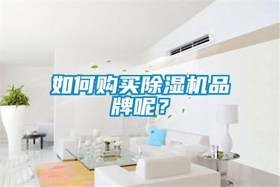 如何購買除濕機(jī)品牌呢？