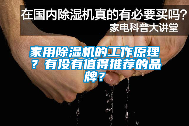 家用除濕機的工作原理？有沒有值得推薦的品牌？