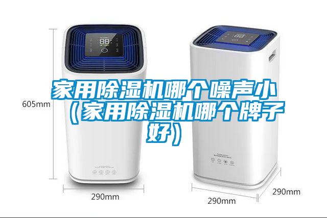 家用除濕機哪個噪聲?。矣贸凉駲C哪個牌子好）